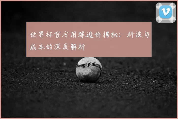 世界杯官方用球造价揭秘：科技与成本的深度解析