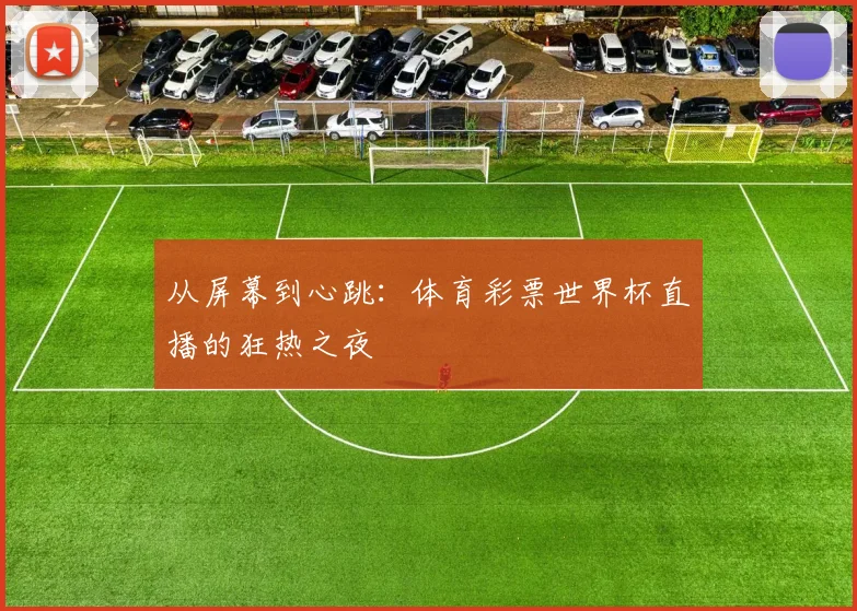 从屏幕到心跳：体育彩票世界杯直播的狂热之夜