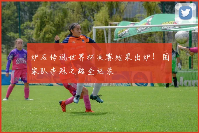炉石传说世界杯决赛结果出炉！国家队夺冠之路全记录