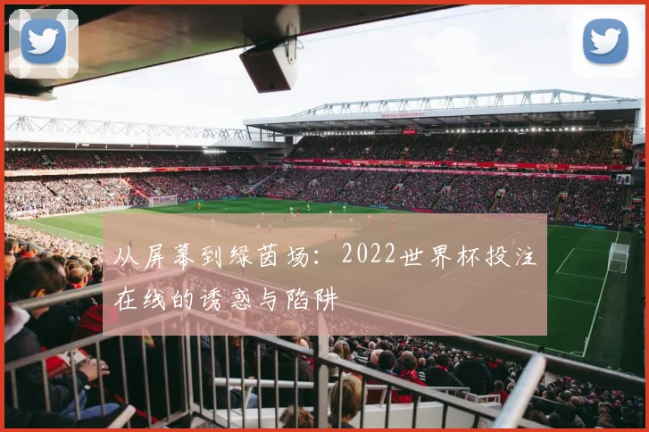 从屏幕到绿茵场：2022世界杯投注在线的诱惑与陷阱
