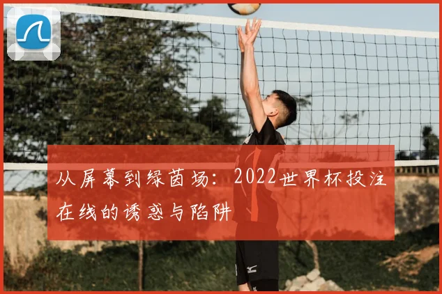 从屏幕到绿茵场：2022世界杯投注在线的诱惑与陷阱